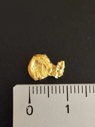 Australische goudklomp Vrije vorm - 1.17 g - (1)