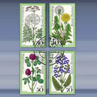 Wohlfahrt: Wiesenblumen (1977)