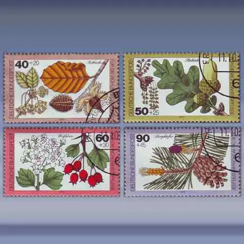 Wohlfahrt (11-okt-79)