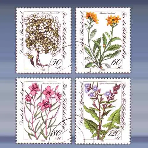 Wohlfarhrt (13-okt-83)