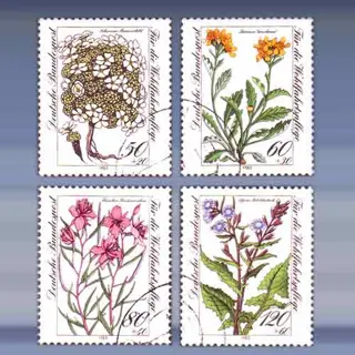 Wohlfarhrt (13-okt-83)