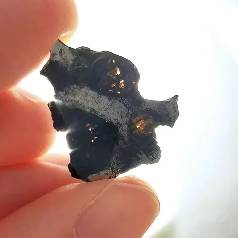 Brenham-meteoriet. Pallasiet uit Kansas. Plak - 2.38 g