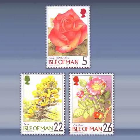 Bloemen (1999)