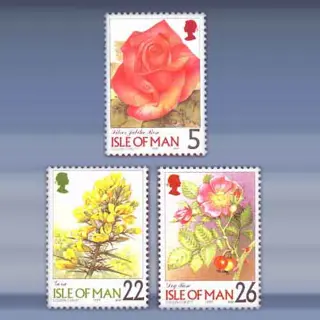 Bloemen (1999)