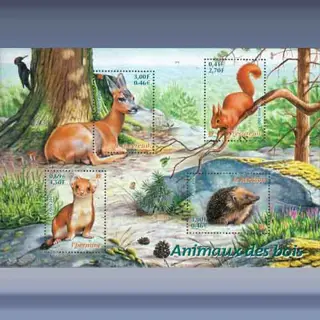 Nature of France (XVI) (2001)