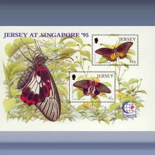 Fauna, Vlinders (1995)