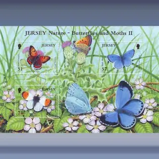 Fauna, Vlinders (2006)