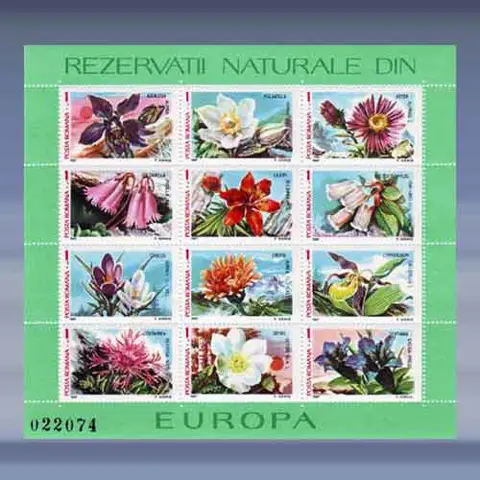 Flora (1987)