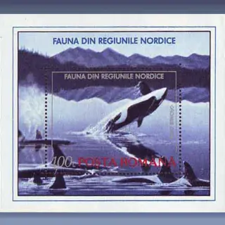 Fauna, Orca (1992)