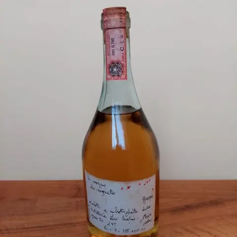 Grappe di Lidia &amp; Romano Levi - In sogno ho sognato -