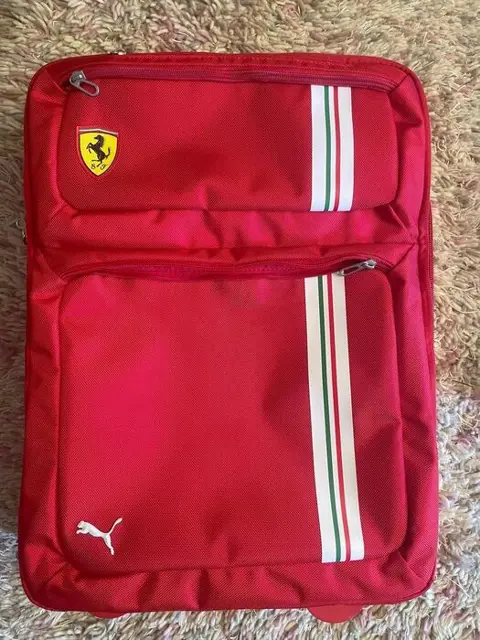 Ferrari - Formule 1 - 2021 - Reistas