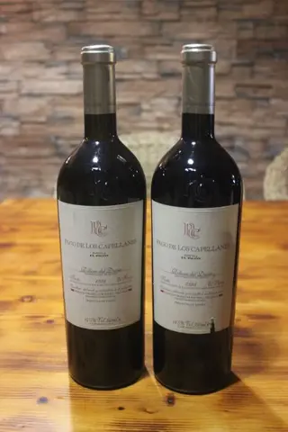 1998 Pago de Los Capellanes, Parcela 'El Picón' - Ribera