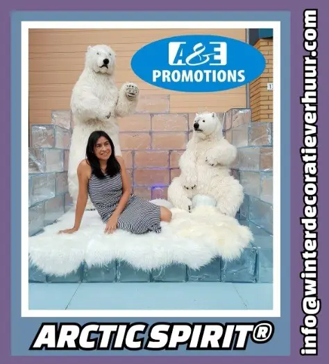 Verhuur top kerst winter versiering t. 0599 416200