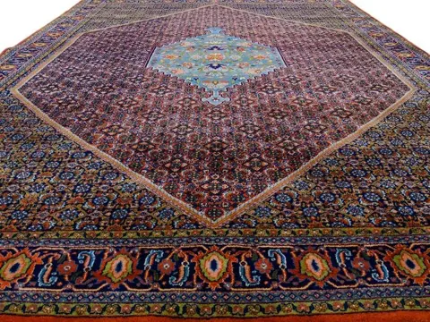 Rozen Bidjar - Clean Rug - 346 cm - 244 cm