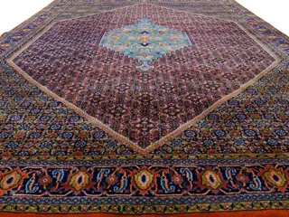 Rozen Bidjar - Clean Rug - 346 cm - 244 cm
