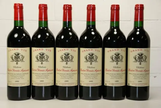 1995 Chateau Ludon Pomies Agassac - Haut-Médoc - 6 Flessen