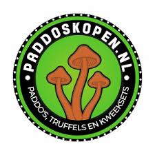 Gezellig psychedelisch avondje