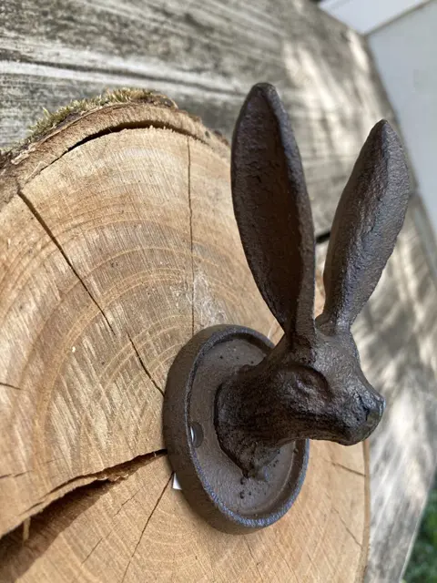 GIETIJZEREN HAAK HAAS DUBBEL NIEUW